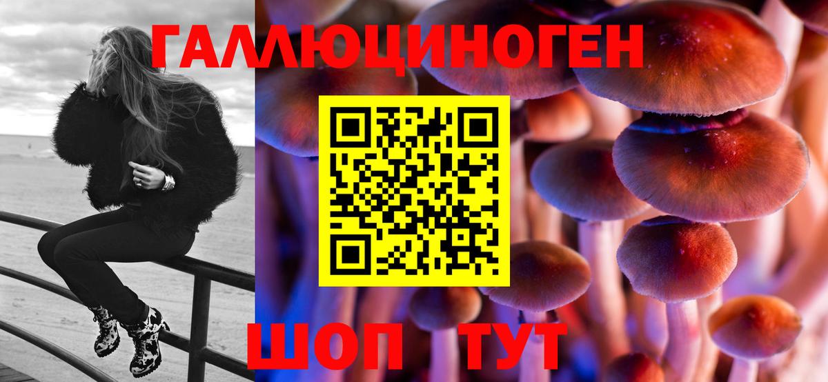 Галлюциногенные грибы Cubensis  Галлюциногенные грибы GOLDEN TEACHER  Вход с VPN  Курчалой 